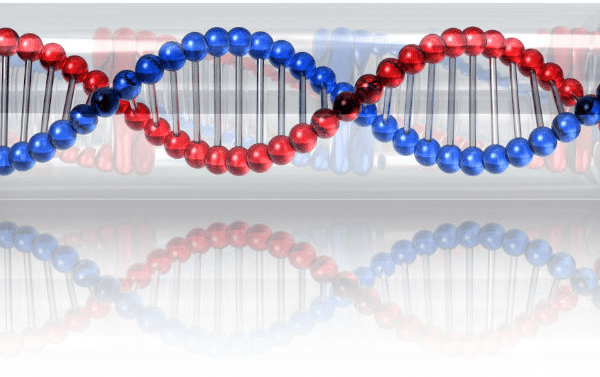 DNA DNA
